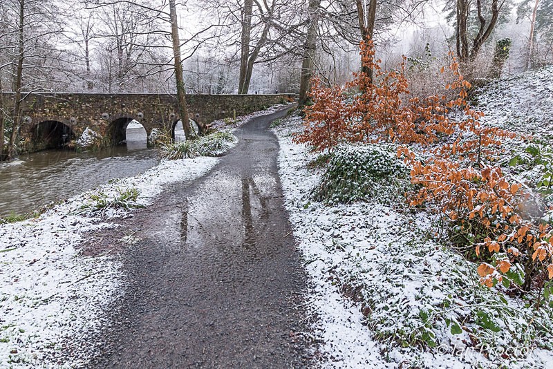 Minnowburn in Winter, Belfast. - Winter