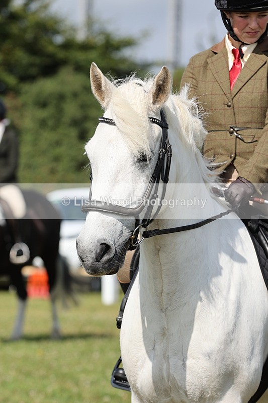 JPP_0879 - Class 16: Cornish Combination Young Rider