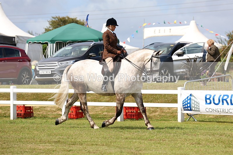 3E7A0160 - Class 6: Rising Star Maxi Cobs