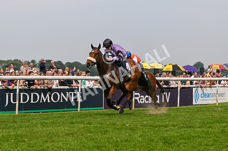 060524-Race 2-Brummell-6004 - Race 2