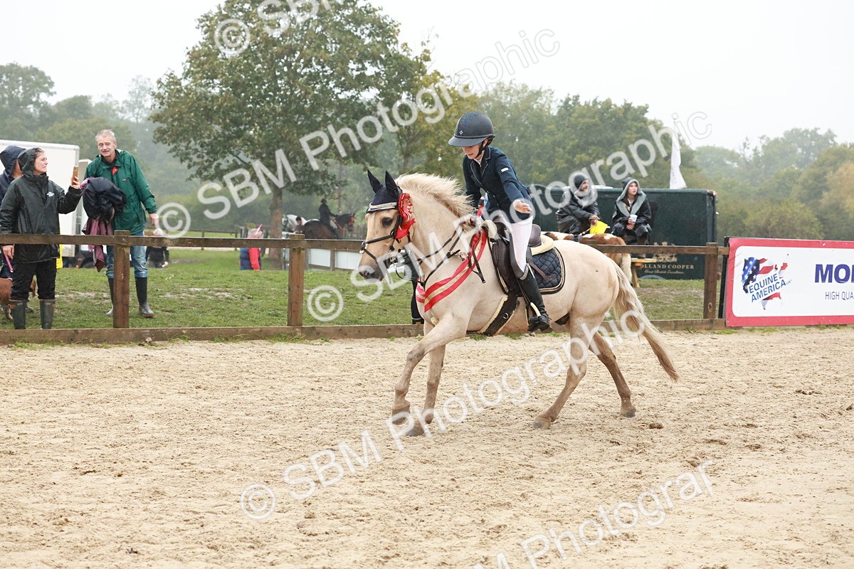 SBM_73656 - Supreme Championship Junior Pony 60cm & 65cm