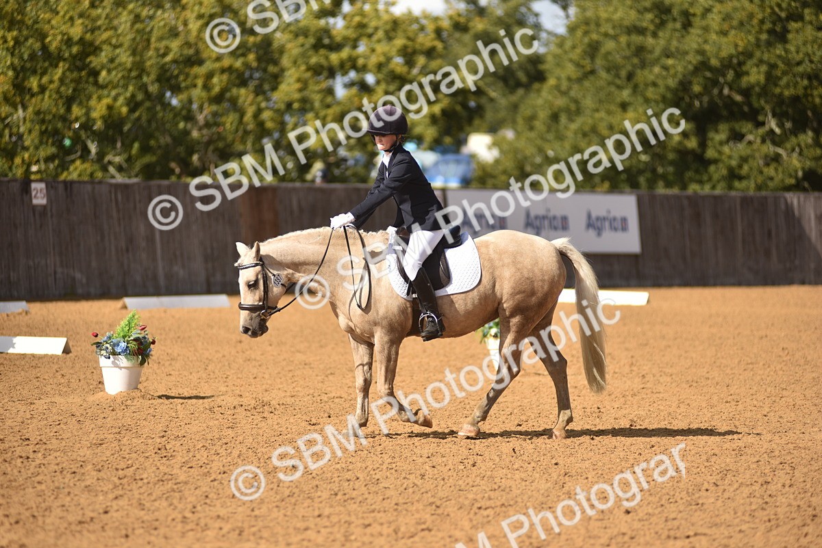 SBM_48770 - D22 - Junior Championship Intro 3