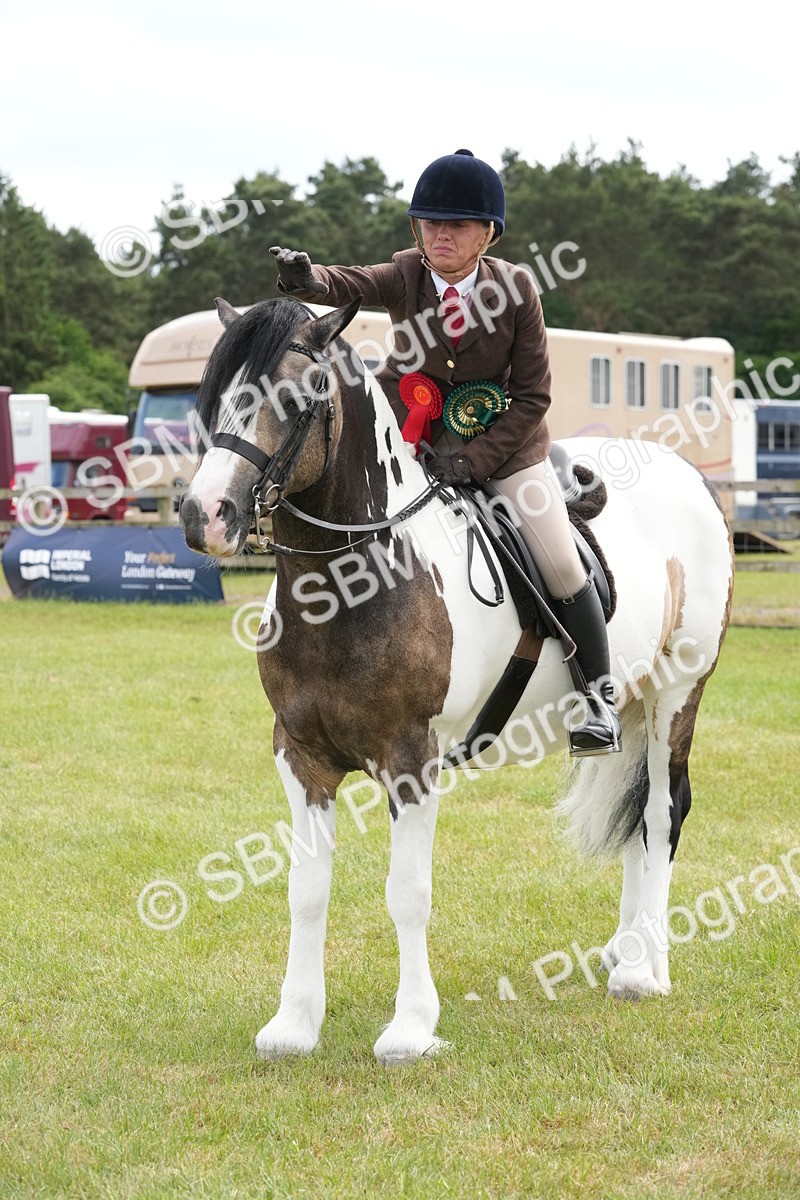 SBM_17338 - Class 107-108 - LIHS BSPS Performance Coloured Horse Pony