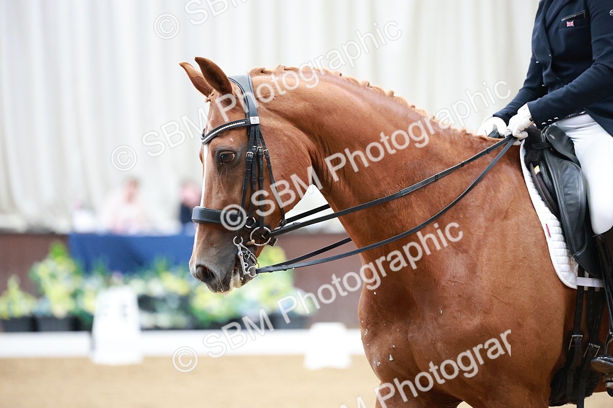 SBM_009572 - Class 13 - FEI PSG - 11.06-12.34