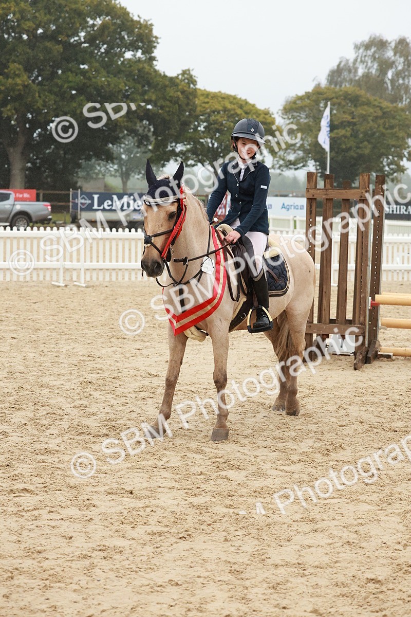 SBM_73491 - Supreme Championship Junior Pony 60cm & 65cm