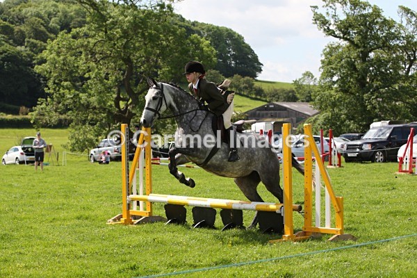 MBJ_3799 - MBRC Working Hunter/Jumping June 2014