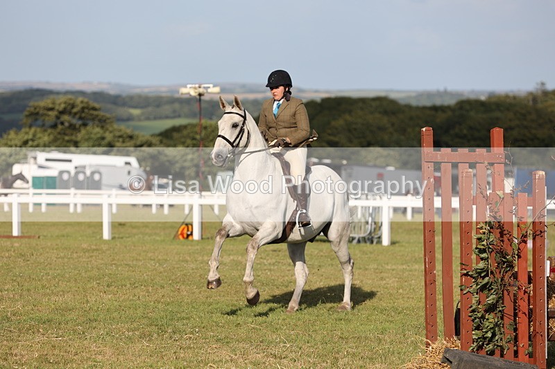 JPP_3475 - Class 22: Working Hunter 90cm