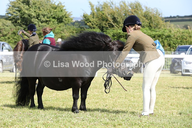 1X9A5623 - Class 39: NPS Dartmoor, Exmoor, Shetland