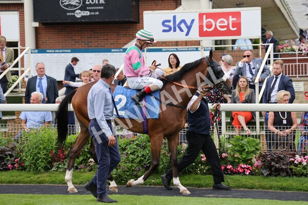 yr24072021r5-24 - Race 5 4.25pm Sky Bet Best Odds Guaranteed Stakes