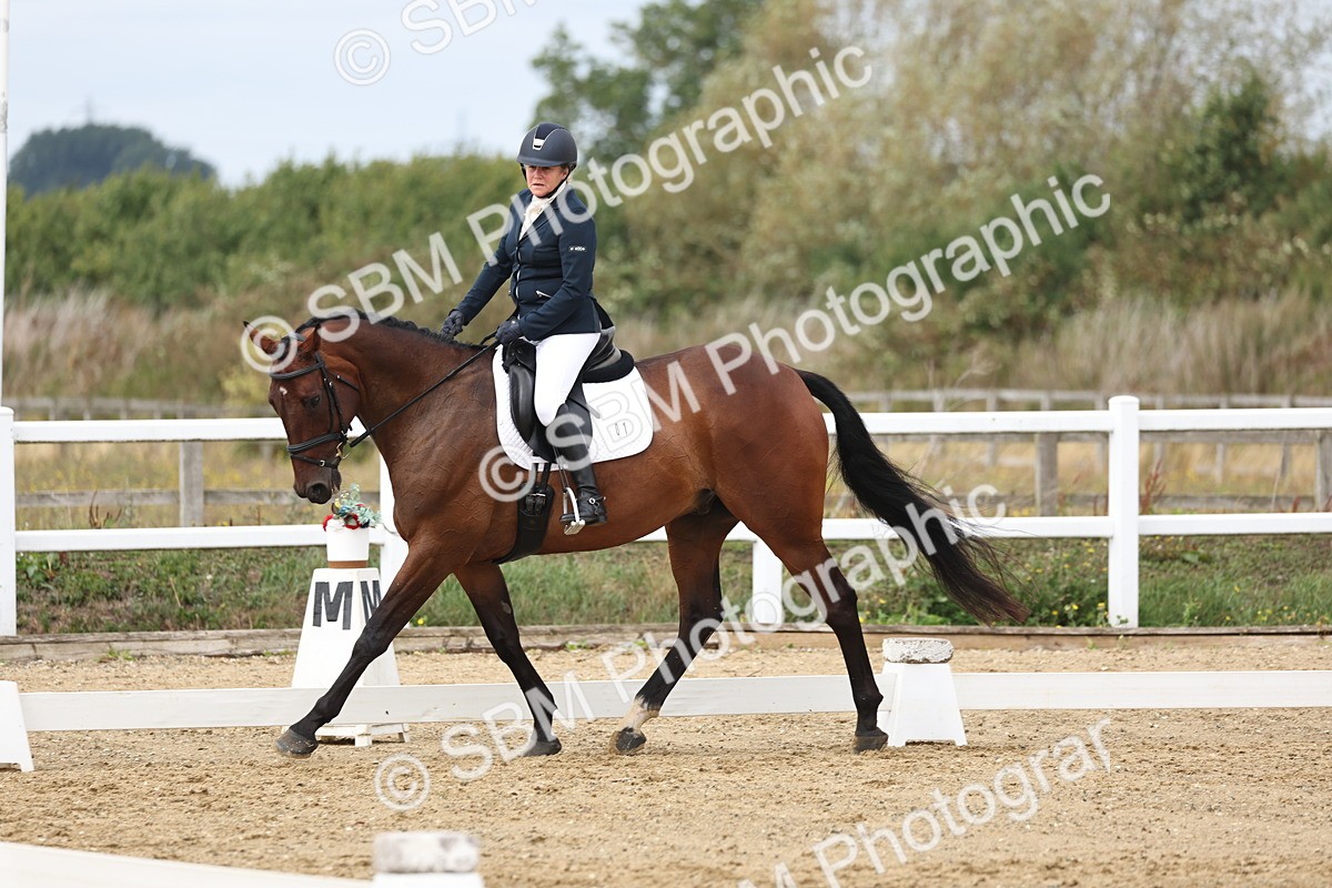 SBM_002604 - Class 7 - Novice 2 Warm Up