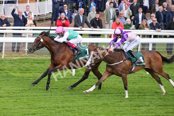 yr11052022r5-21 - Race 5 4.10pm Paddy Power 'Here For The Craic' Stakes