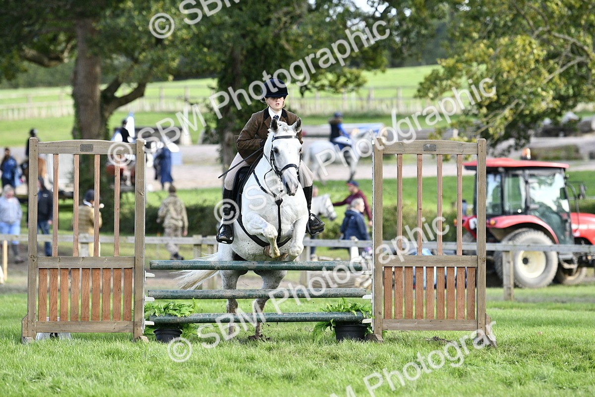 SBM_52180 - S35 - Working Hunter & Working Show Horse