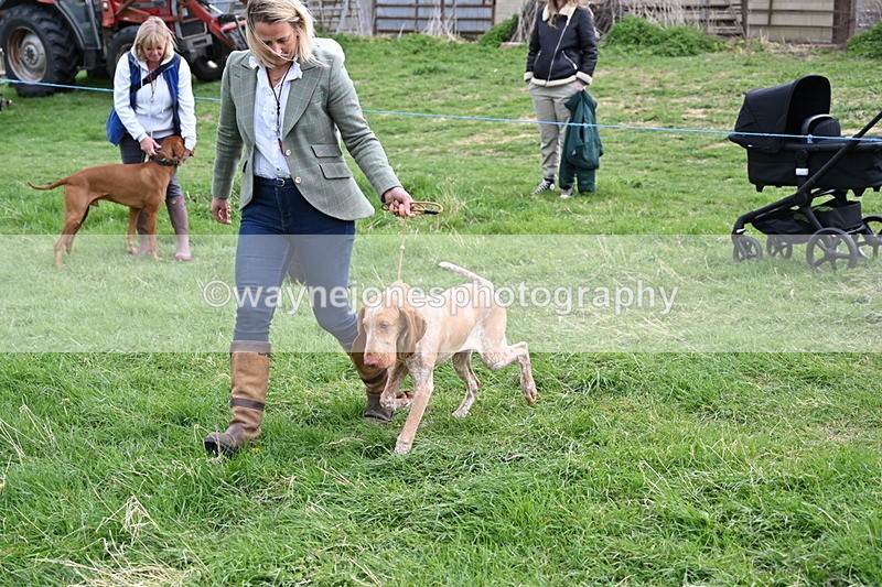 WJ6_8154 - Class 2 Best Pedigree