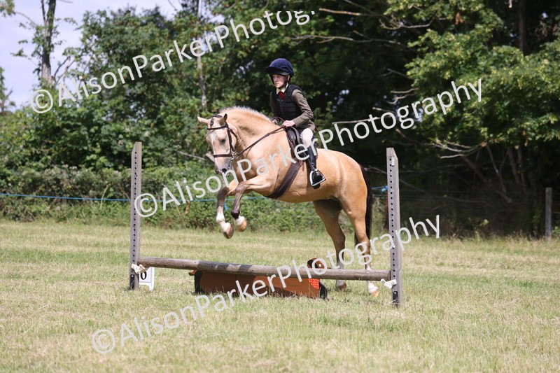 20260614-1780 - Class 21 - Novice Working Hunter Pony