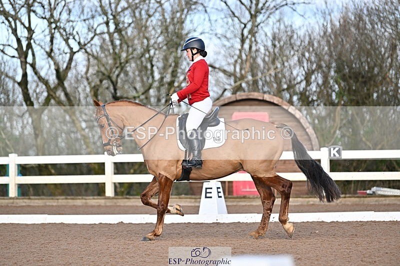 241214-100854-01099 - 108-Pippa.Knight-KFS.Boston.Burglar