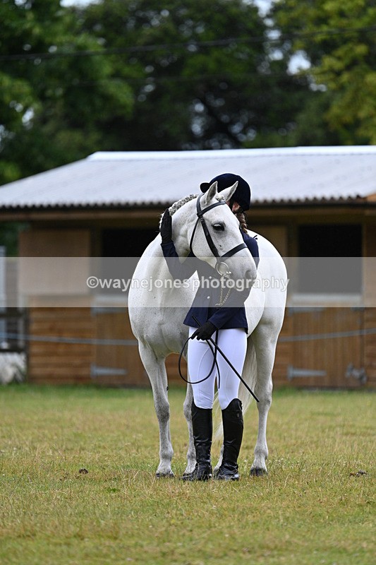 WJ7_6154 - Class 4a Prettiest Mare over 14hh