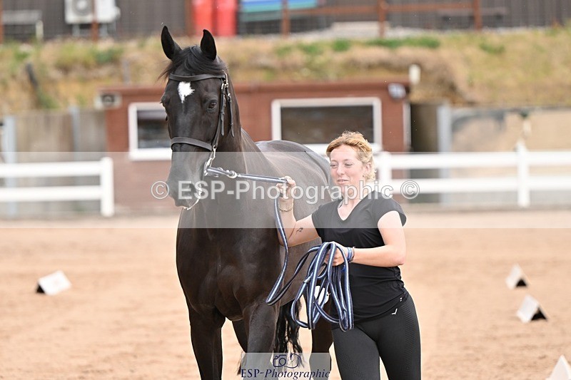 250716-151151-01750 - Trot Up 2.30 to 3.30