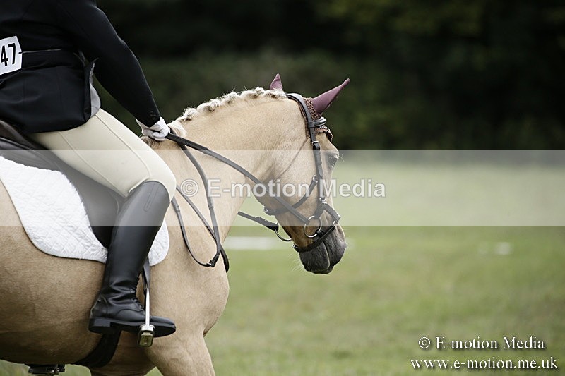 BVR080918 302 - BVRC Novice Dressage & CR 08/09/18