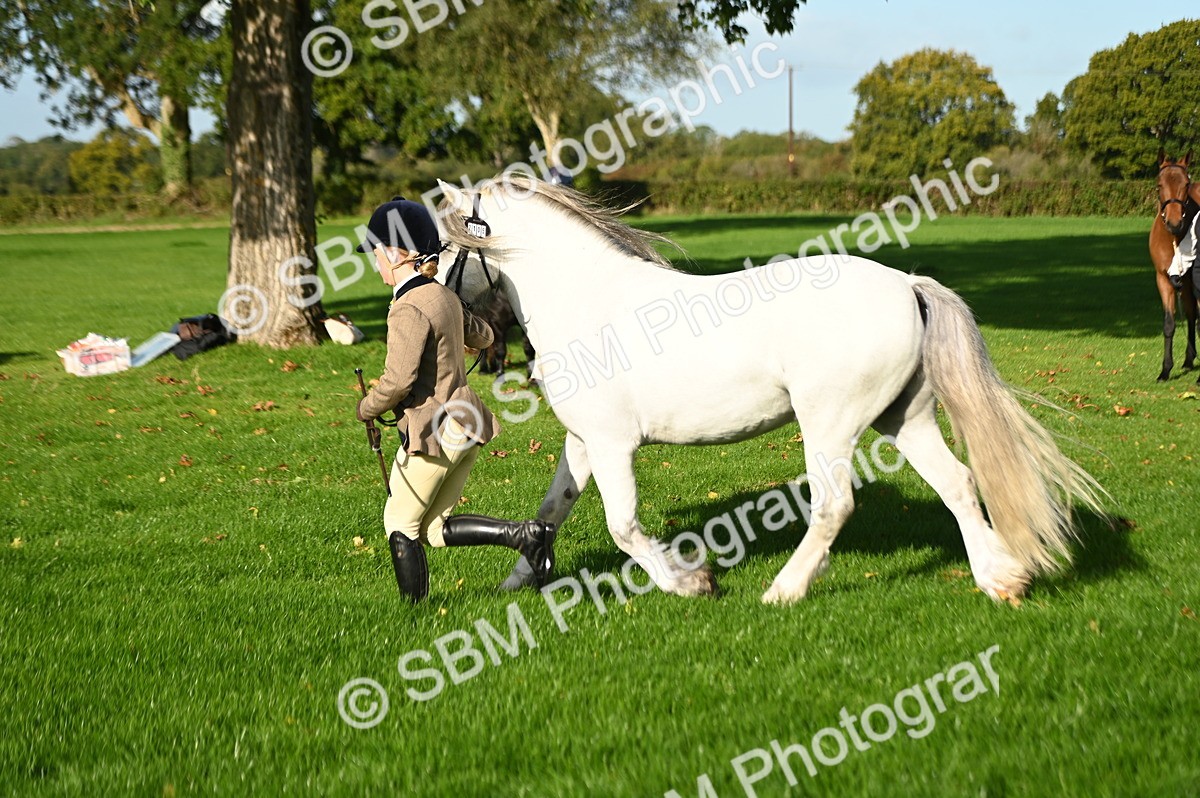 SBM_14775 - S1 - TSR in Hand Horse & Pony Showing