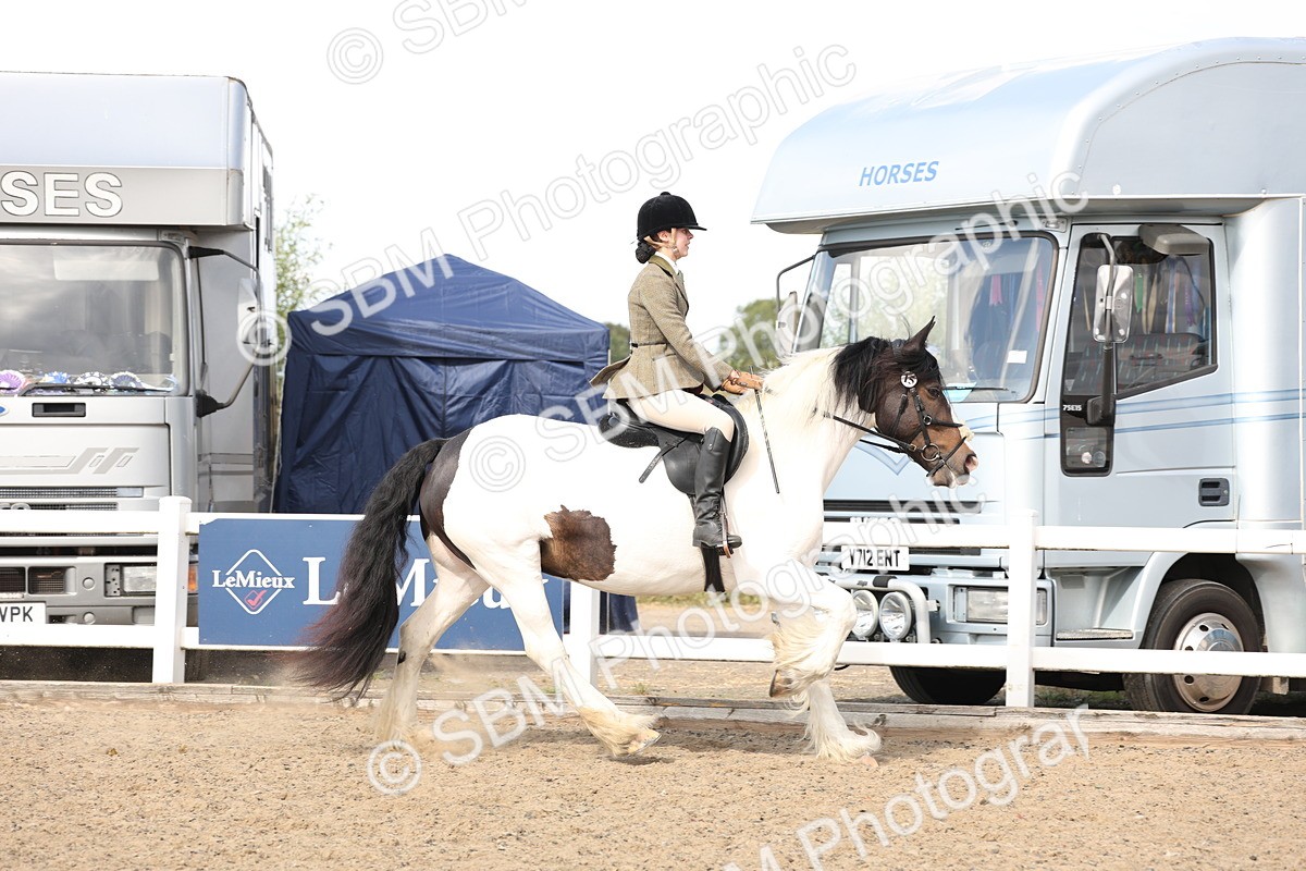 SBM_06820 - Class 58a -  Style & Performance - 70cm (15-19)