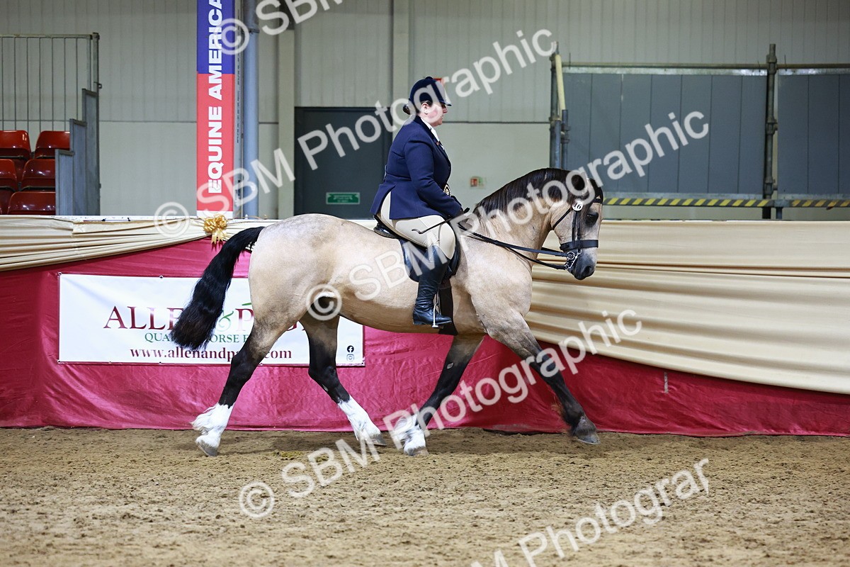 SBM_23605 - class 906 - Supreme Final - Ridden Pre Vet