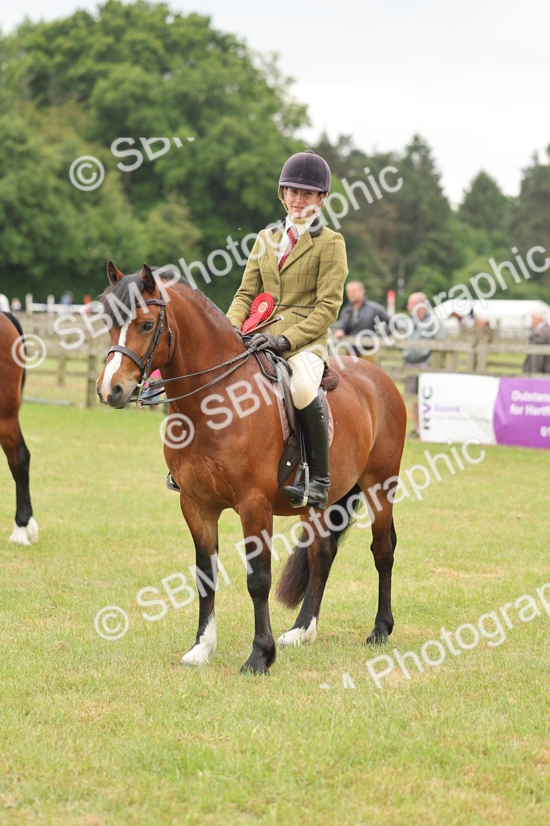 SBM_07260 - Class 76-77 - Ridden M&M Welsh Ponies