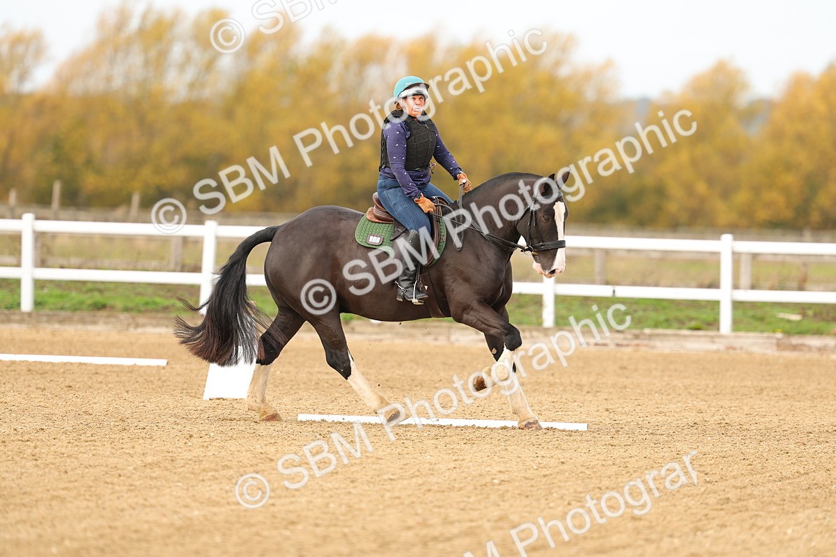 SBM_001018 - Class 13-4-9 - DR P3 CT P3 70cm CT PYO
