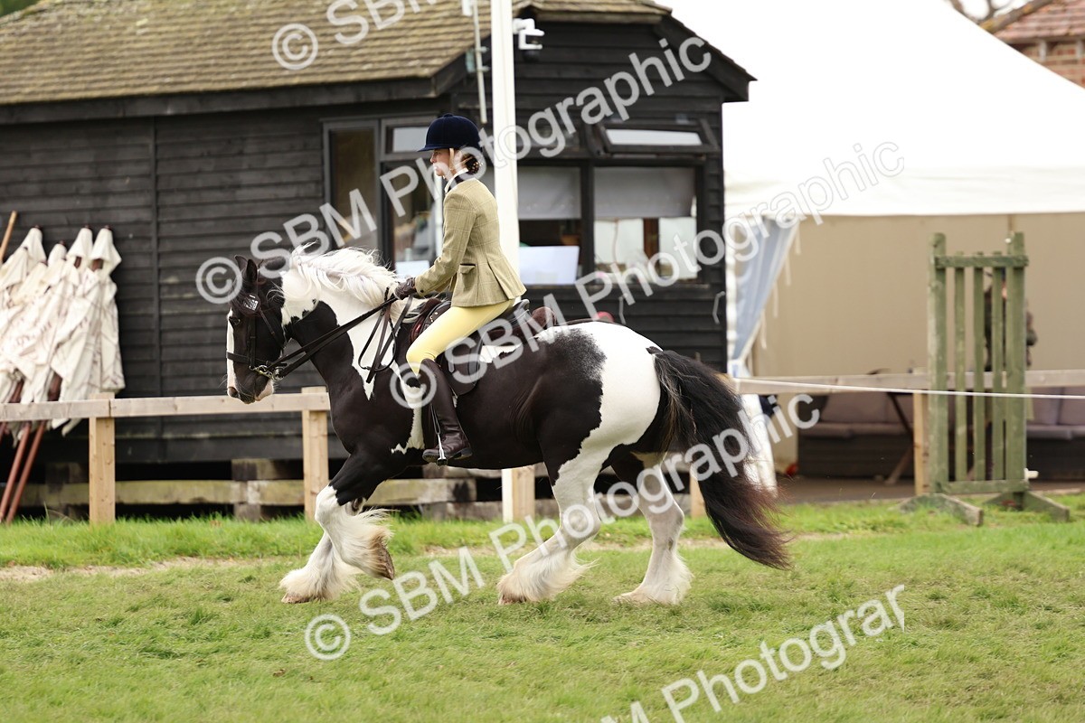 SBM_64505 - S58 - Coloured Pony Ridden