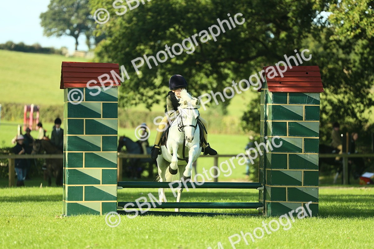 SBM_36390 - S29 - Novice & Newcomers Working Hunter Pony