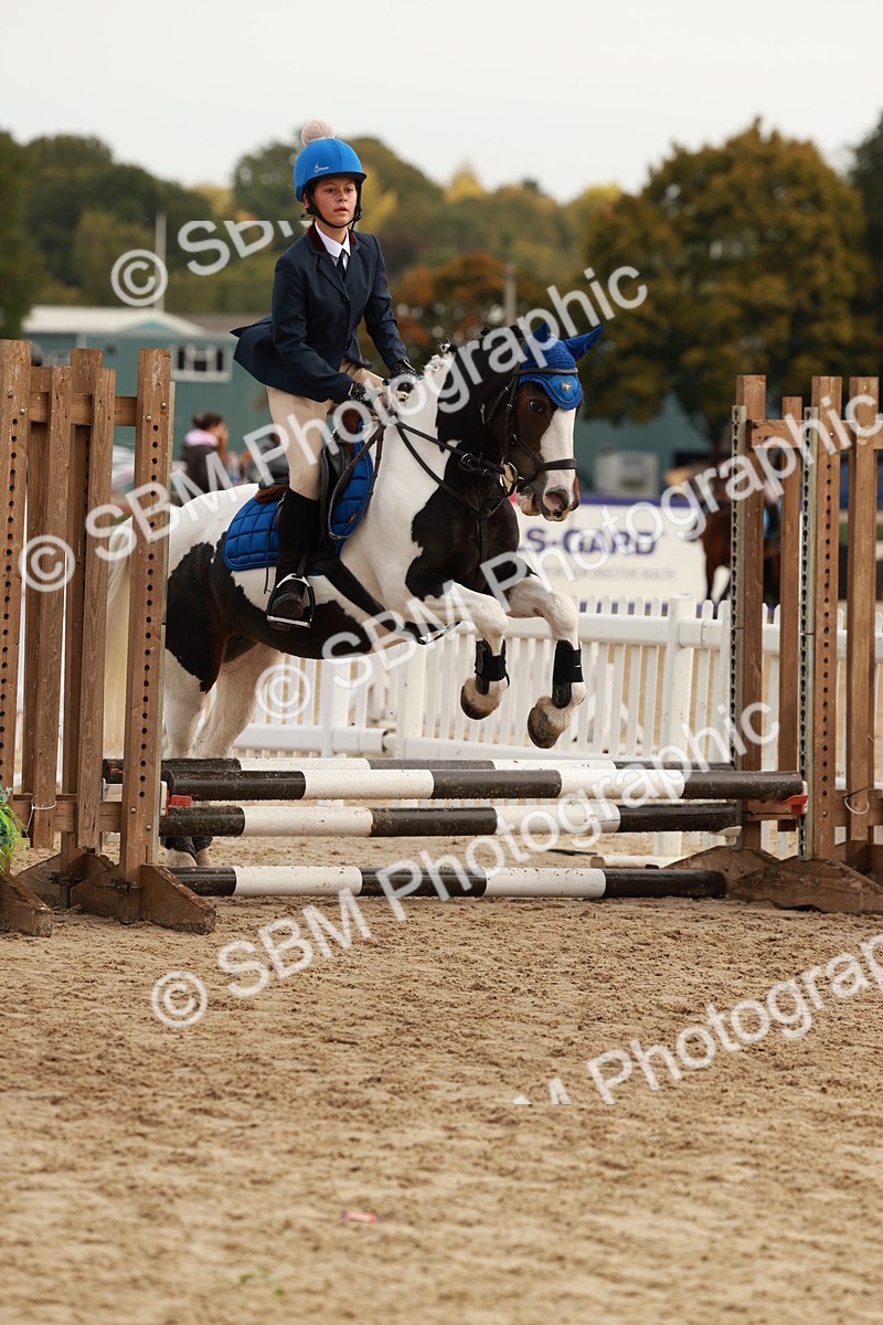 SBM_57693 - J11 - Junior Pony 50cm Championship