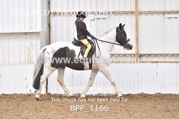 BPP_1166 - RING 2