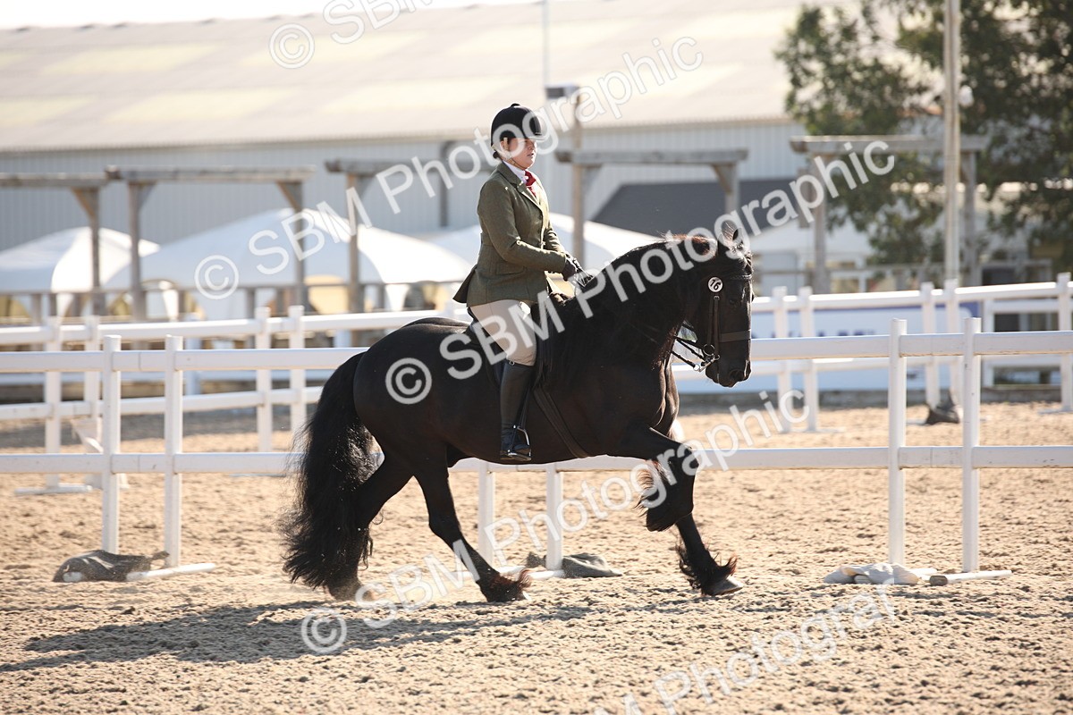 SBM_00633 - Class 14 Ridden M&M Wildcard