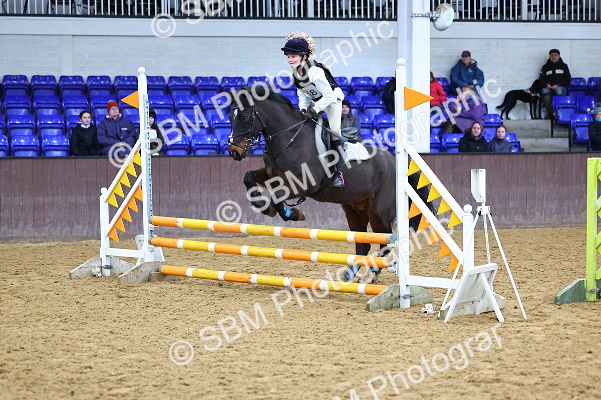 SBM_001420 - Class 3 - Christmas Tree Stakes - 60cm