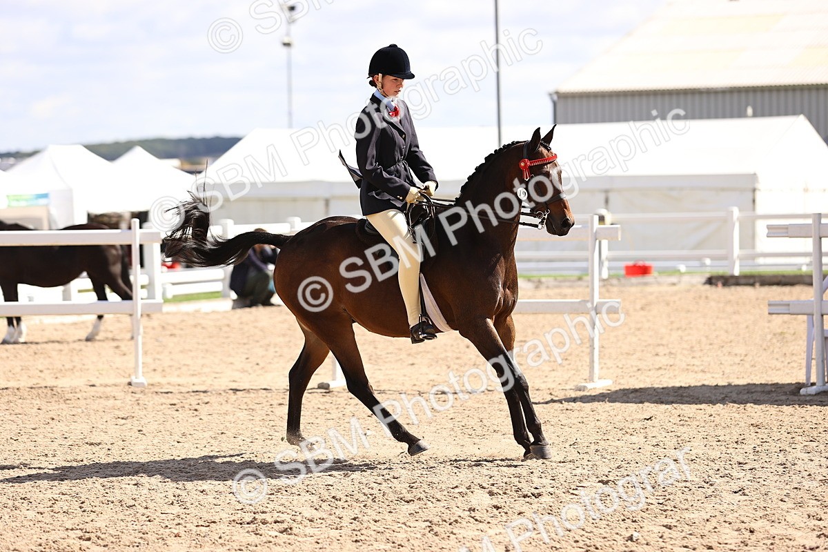 SBM_12866 - Class 409 - Grassroots Ridden - Pony