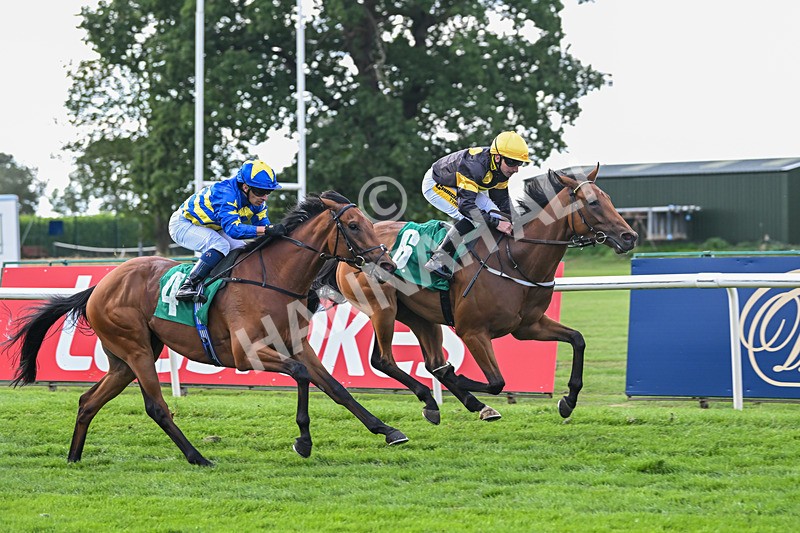 020825-Race 6-Big Leader-3493 - Race 6