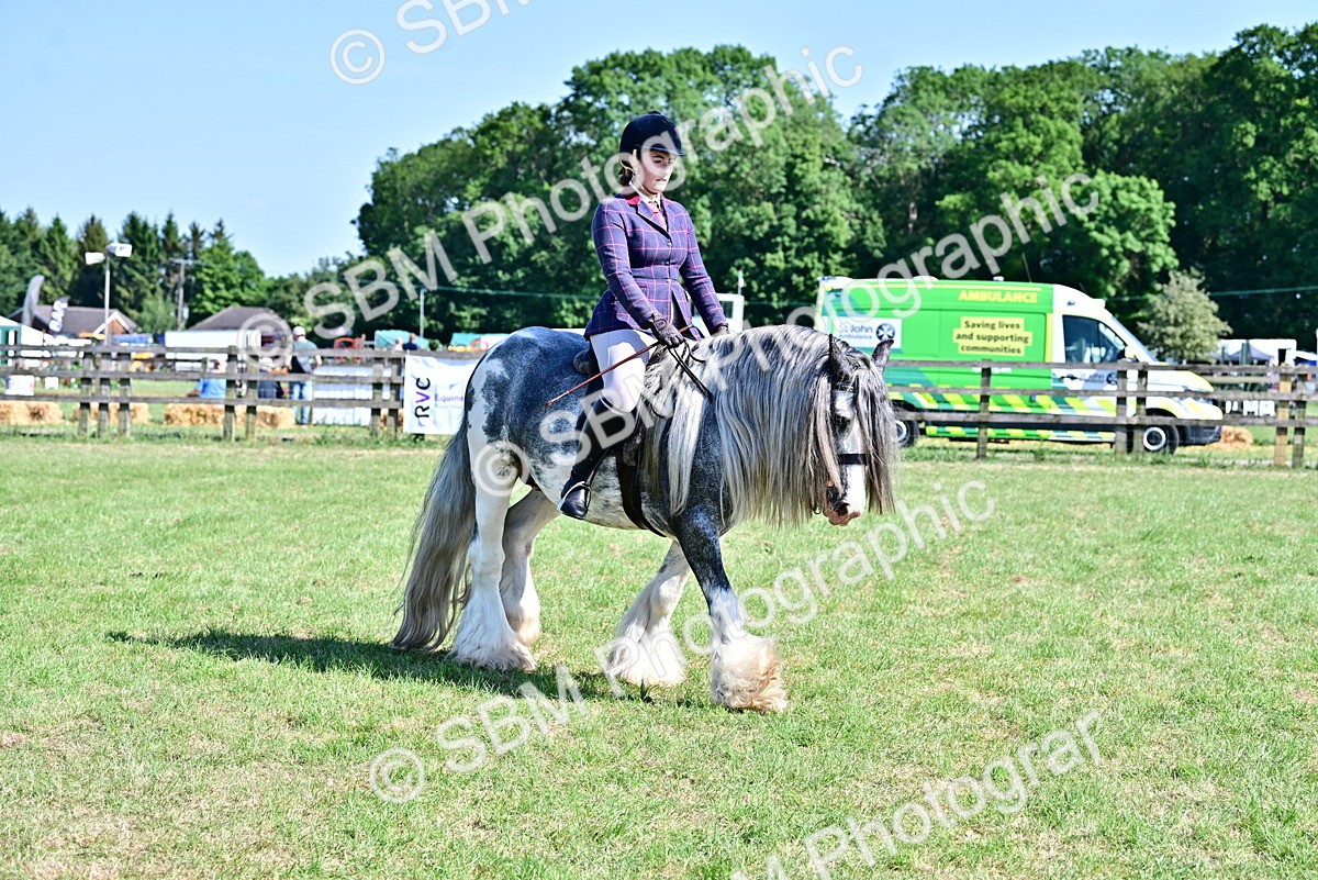 SBM_19426 - Class 101-102 - BSPS LIHS Performance Coloured Horse/Pony