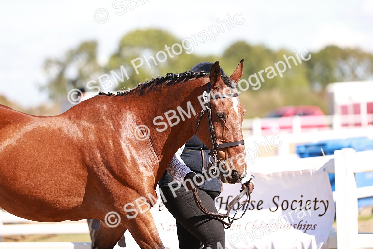 SBM_13273 - class 406 - IH Hunter