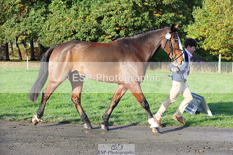 251026A-094919-22504 - D-351-Thomas.Harris