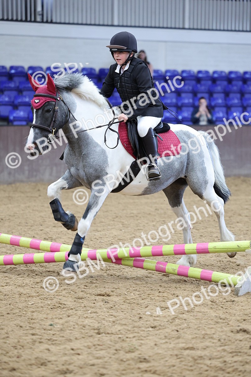 SBM_006983 - Class 1 - 40cm showjumping