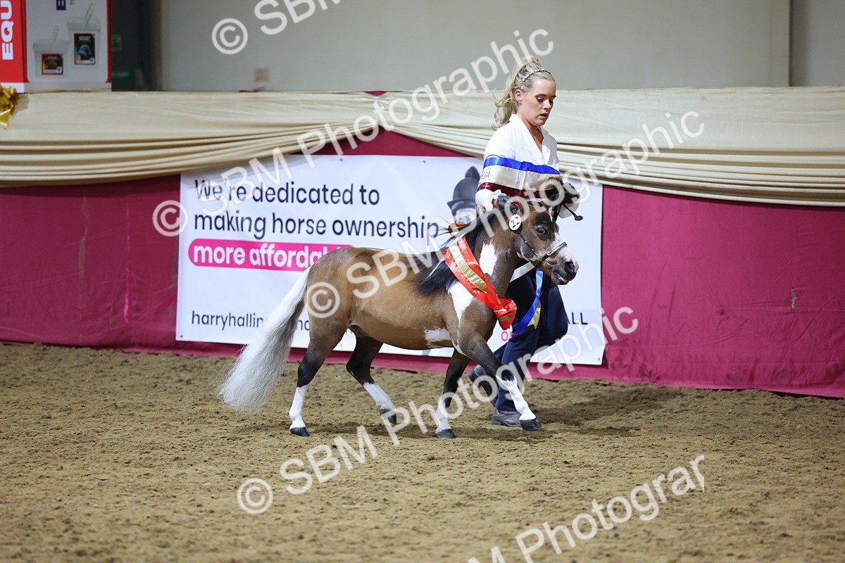 SBM_18719 - Class D IH Pony Champ