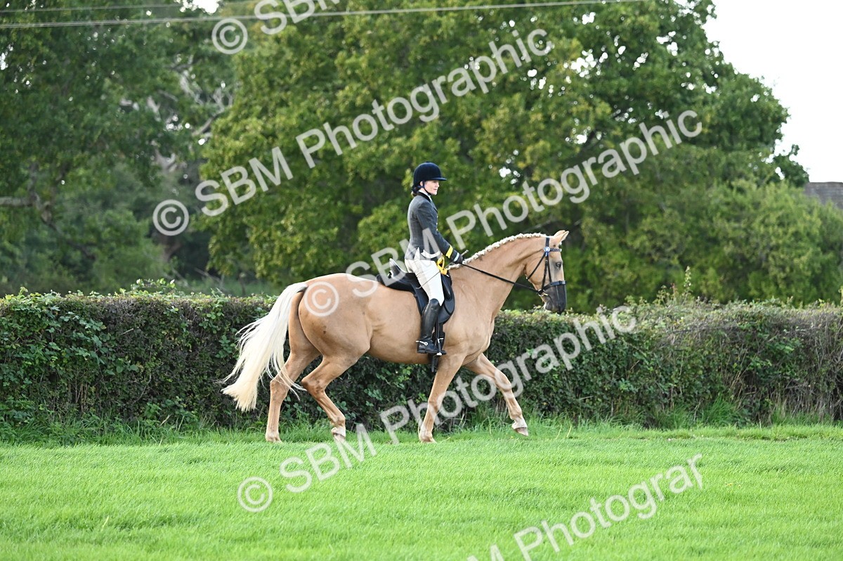 SBM_26531 - S6 - Novice & newcomer Ridden horse