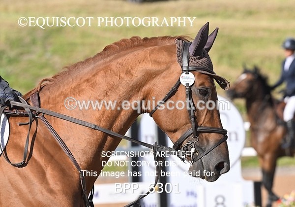 BPP_6301 - CLASS 11 THURS GFS Saddles Senior Newcomers/1.10m Open