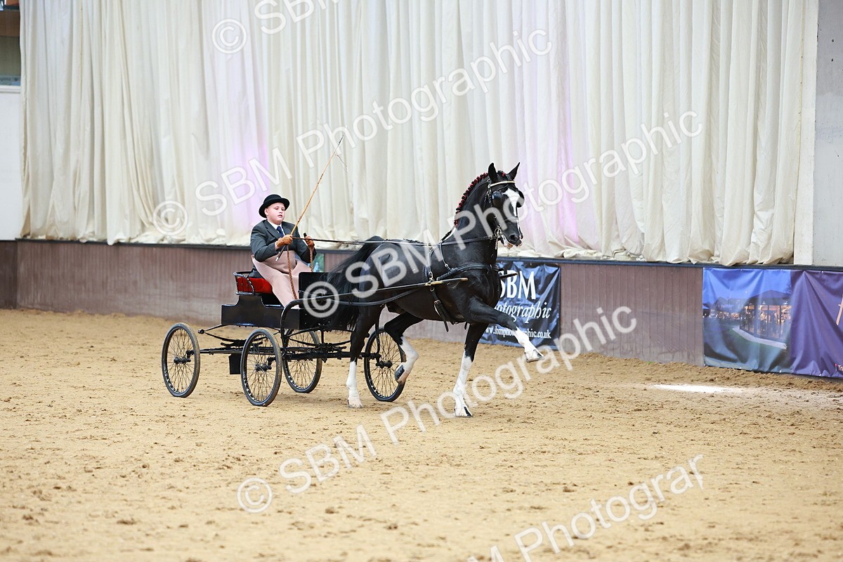 SBM_001008 - Class 13  - HHS Championship Intl Hackney Horse to a Show Wagon