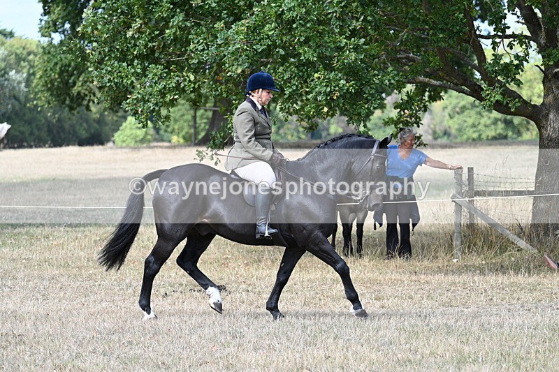 WJ7_6106 - Class 13 Ridden Veterans