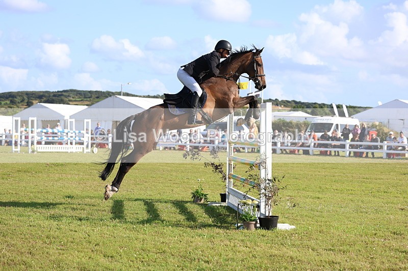 3E7A4326 - Class C: Showjumping Senior Foxhunter