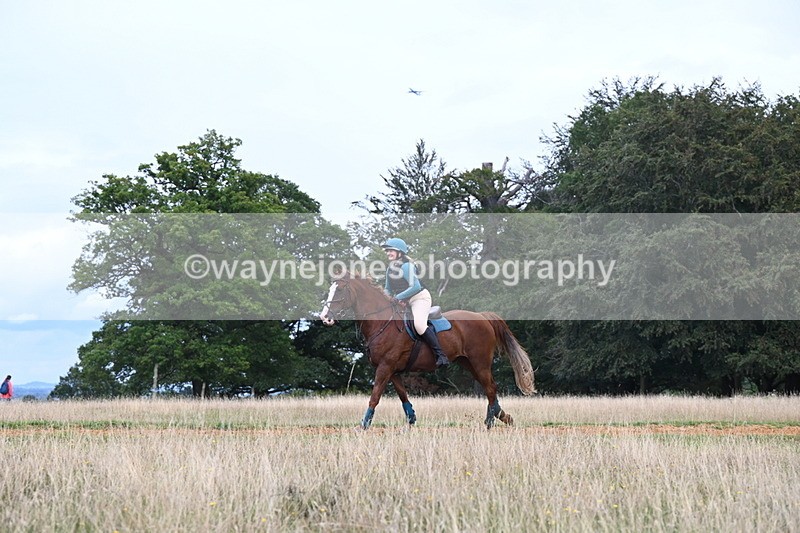 DSC_7588 - Time at Statue 13:16 to 13:52