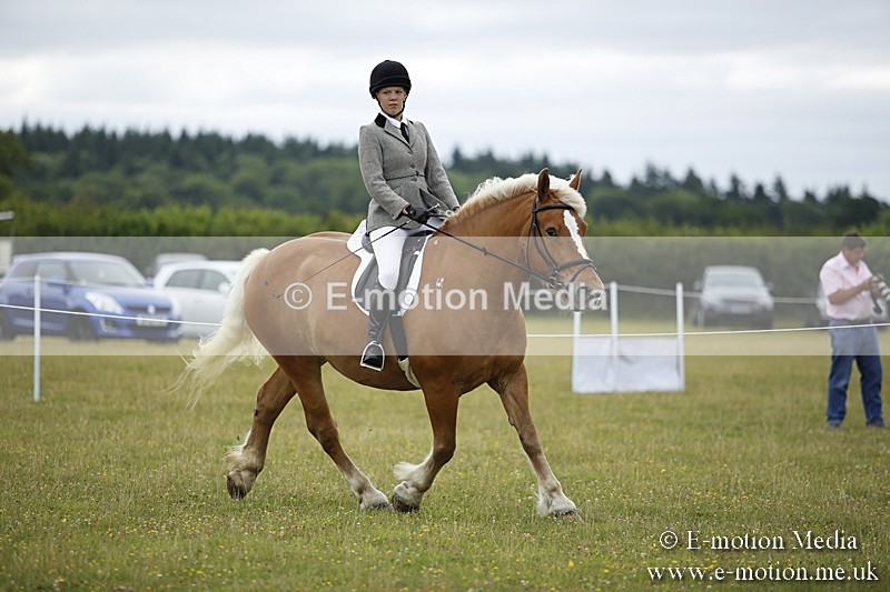 BVR160717-298 - Ring 1 BVRC Show 16/07/17