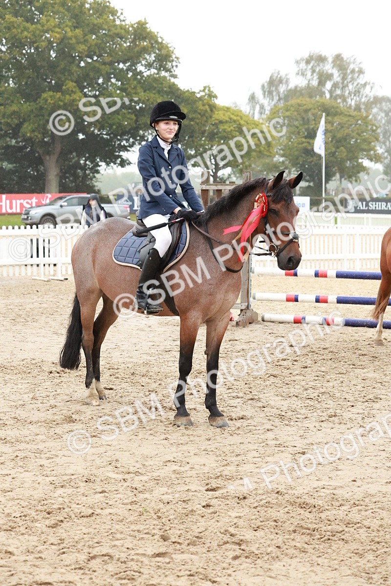 SBM_73568 - Supreme Championship Junior Pony 60cm & 65cm