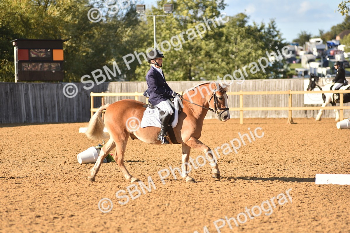 SBM_11414 - D28 - Elementary