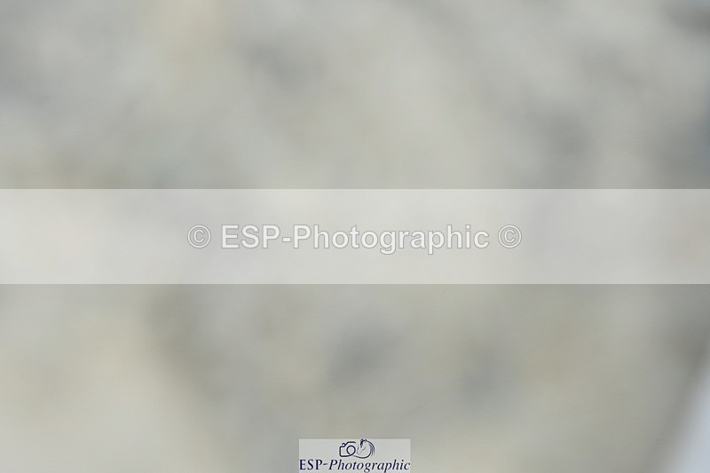 230623-153712-01158 - Cls 7 Medium 69